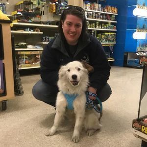 Meet your Posher, Val